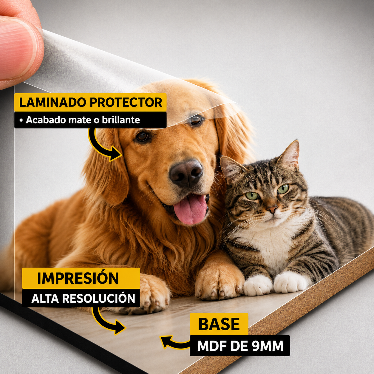 Mascota - Real - M1