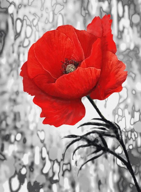 🟥 Contraste Rojo - BR # 12