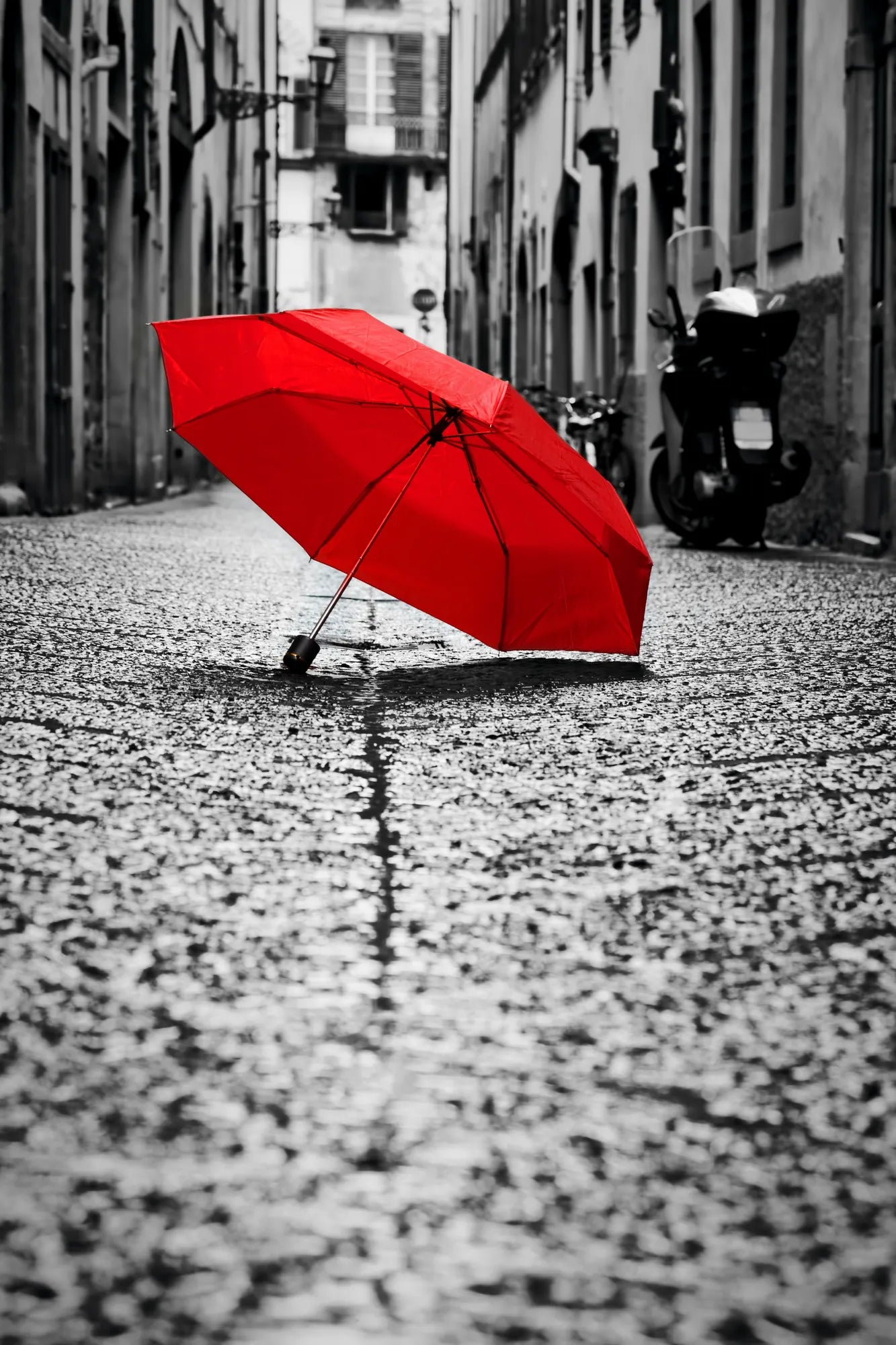 🟥 Contraste Rojo - BR # 4
