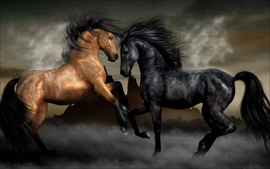 🐴 Cuadro Animales - AN # 7