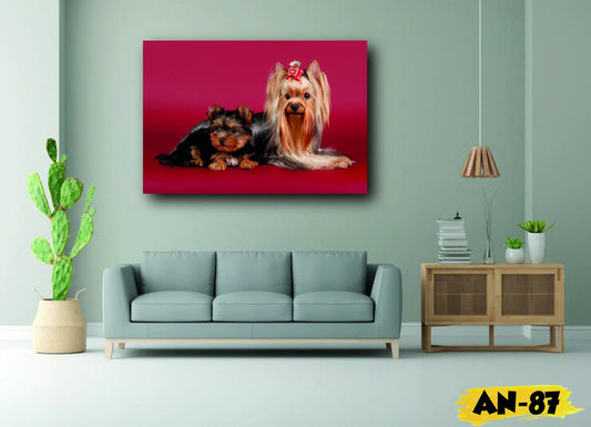 🐴 Cuadro Animales - AN # 87