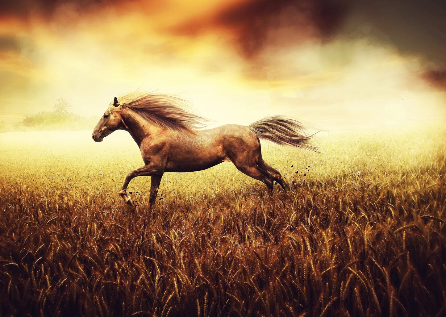 🐴 Cuadro Animales - AN # 8