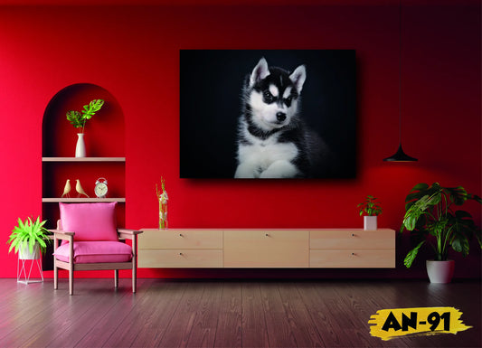 🐴 Cuadro Animales - AN # 91