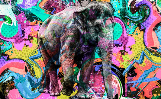 🎨 Arte Callejero - Ac # 23