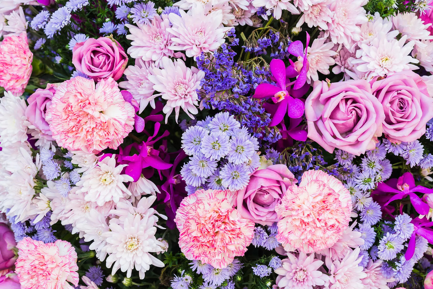 🌸🌻 Flores - FL # 19