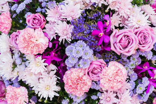 🌸🌻 Flores - FL # 19