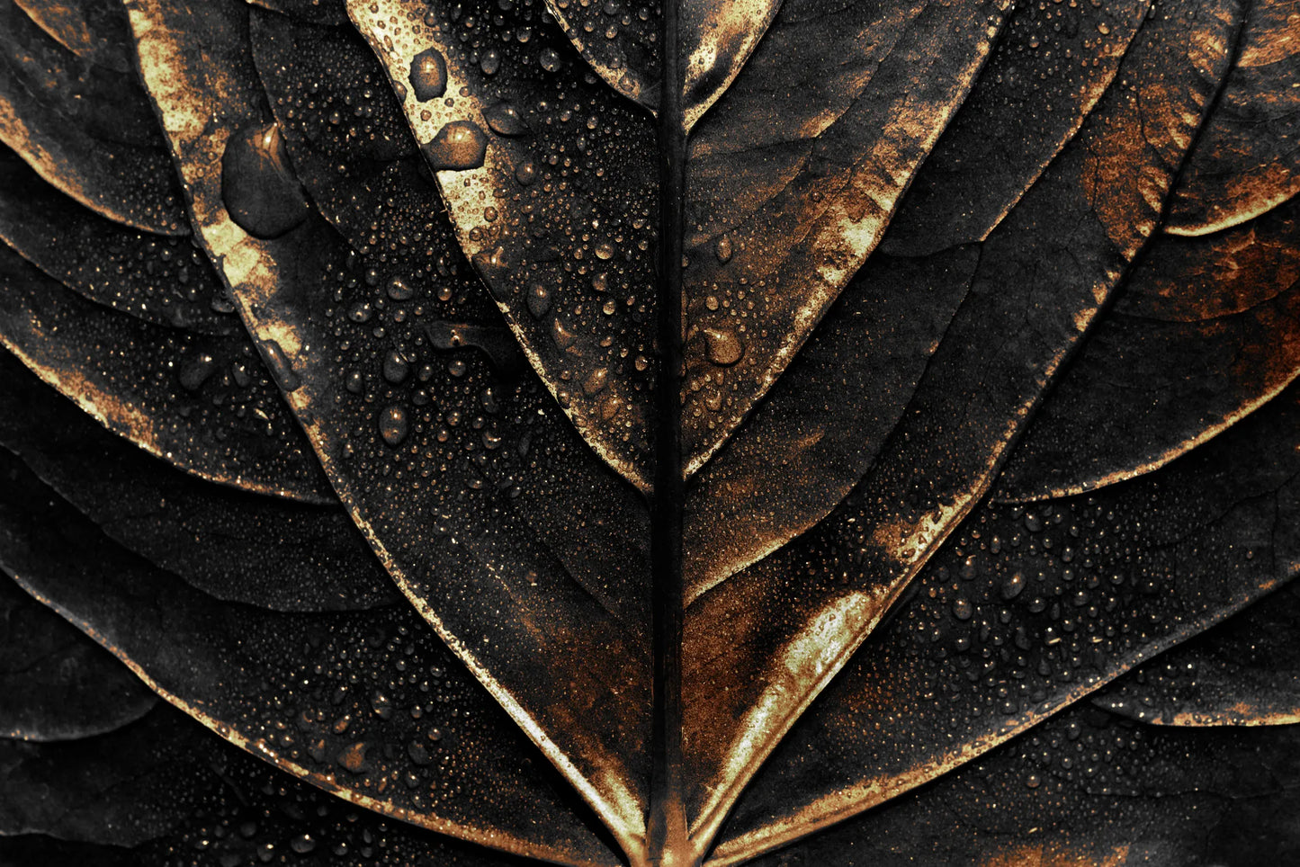 🌕 Oro - Gold - GL # 54