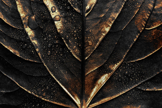 🌕 Oro - Gold - GL # 54