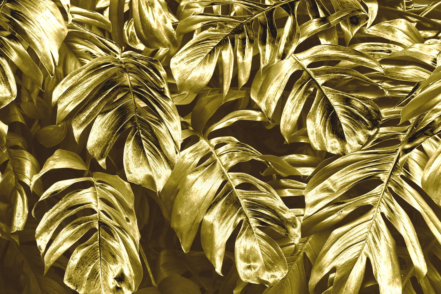 🌕 Oro - Gold - GL # 56
