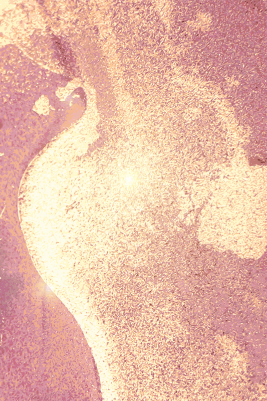🎆 Texturas - Ma # 7