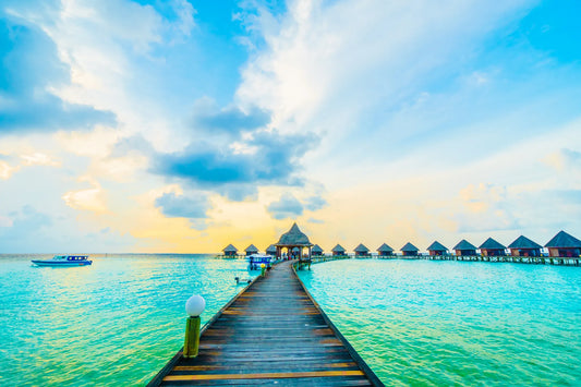 🌴 Paisajes - Pa # 10