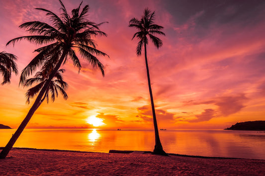 🌴 Paisajes - Pa # 6
